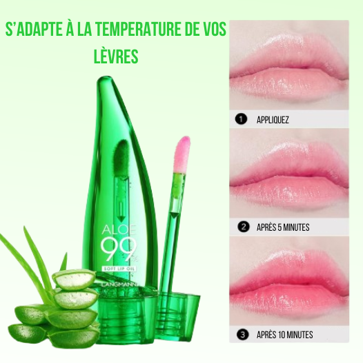 LIVA™- Gloss Aloé Véra (lot de 3)